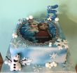 Frozen Elsa č. 9