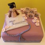 Torta k promóciám č. 13